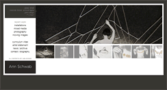 Desktop Screenshot of annschwab.com